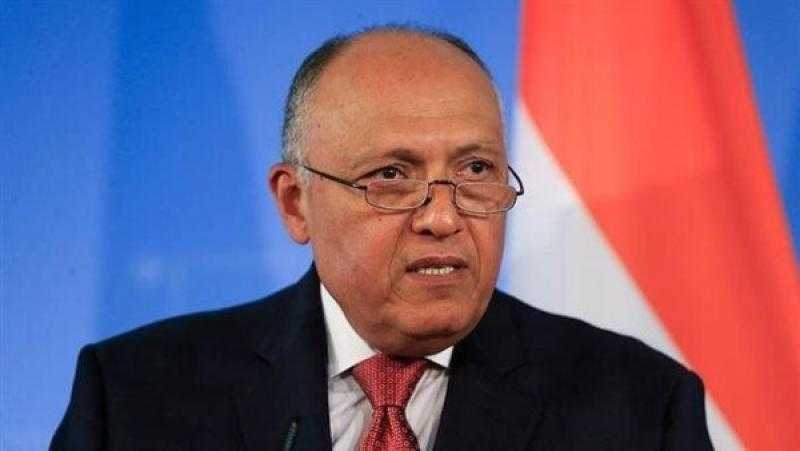 القضية الفلسطينية.. شكري: نبذل جهودا لاحتواء التصعيد والإجراءات التي تنتقص من مسيرة السلام