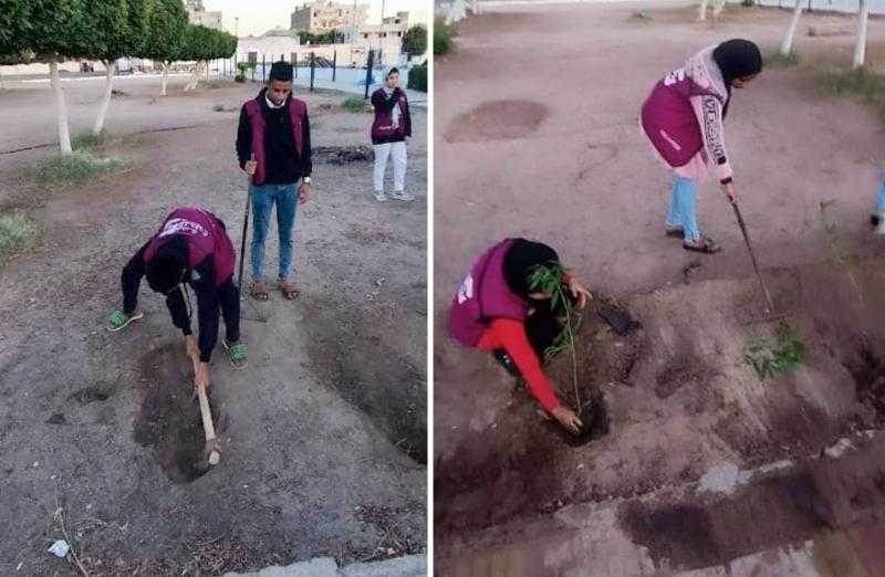 «زراعة الأشجار».. ضمن خطة نادي التطوع بمديرية الشباب والرياضة بالبحر الأحمر