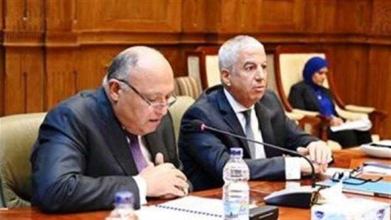 شكري أمام «خارجية النواب»: ما تحقق في «COP 27» يؤكد أنها قمة التنفيذ