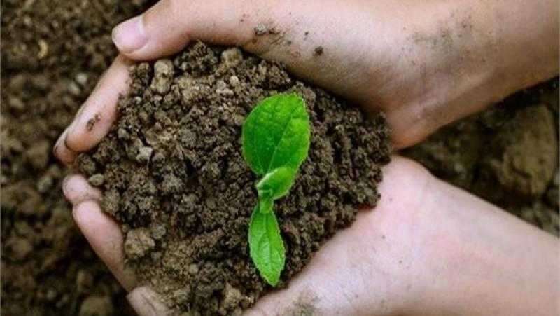 العالم يحتفل باليوم العالمي للتربة