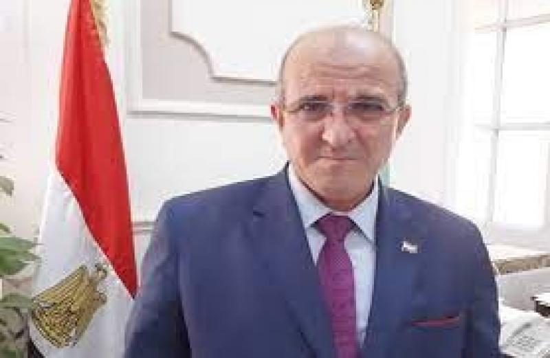 «الزراعة»: وصلنا للاكتفاء الذاتي من بيض المائدة والألبان