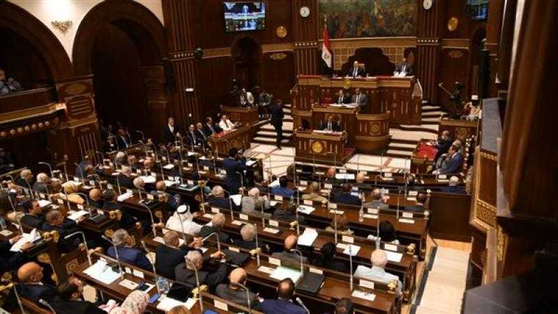 نائب: صندوق مصر الرقمية يهدف إلى تيسير تقديم الخدمات وسرعة إنهاء الإجراءات