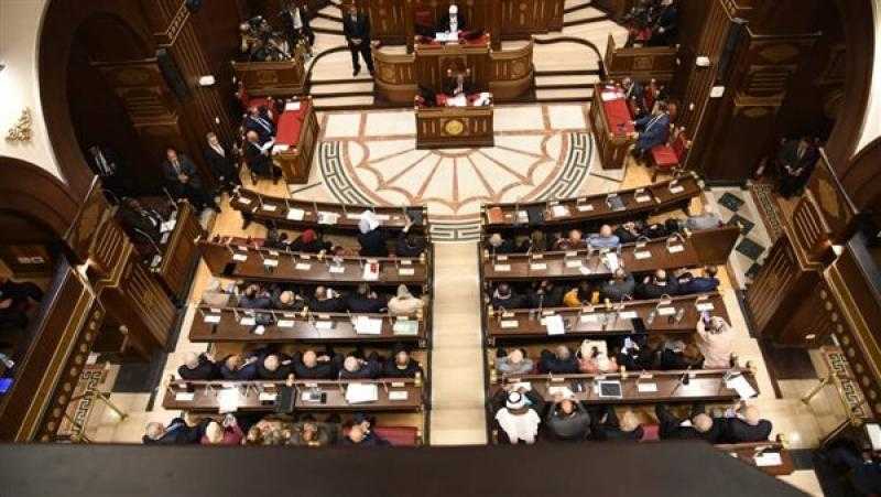 برلماني: نحتاج تضافر كافة جهود الدولة لتحقيق أهداف ملف التحول الرقمي