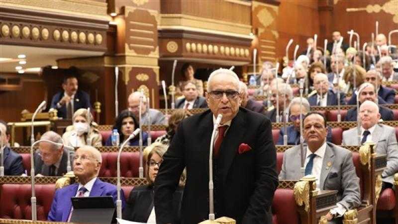 وكيل الشيوخ: صندوق مصر الرقمية يحقق الغاية والهدف للانطلاق نحو الجمهورية الجديدة
