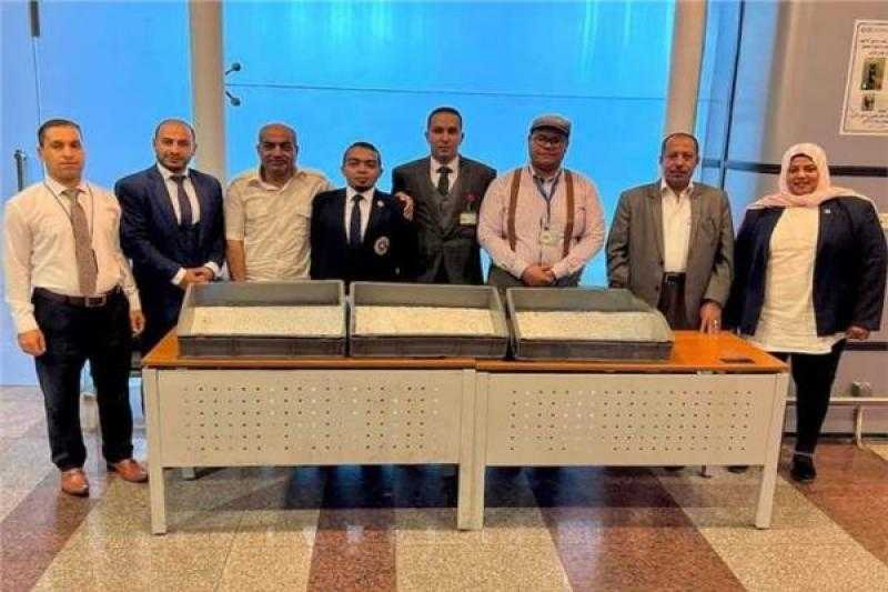 إحباط محاولة تهريب عدد من الأقراص الدوائية في جمارك الغردقة