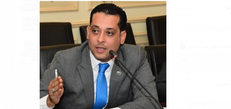 محمد نشات العمدة: موافقة مجلس النواب على إنشاء صندوق قناة السويس يعزز مواردها