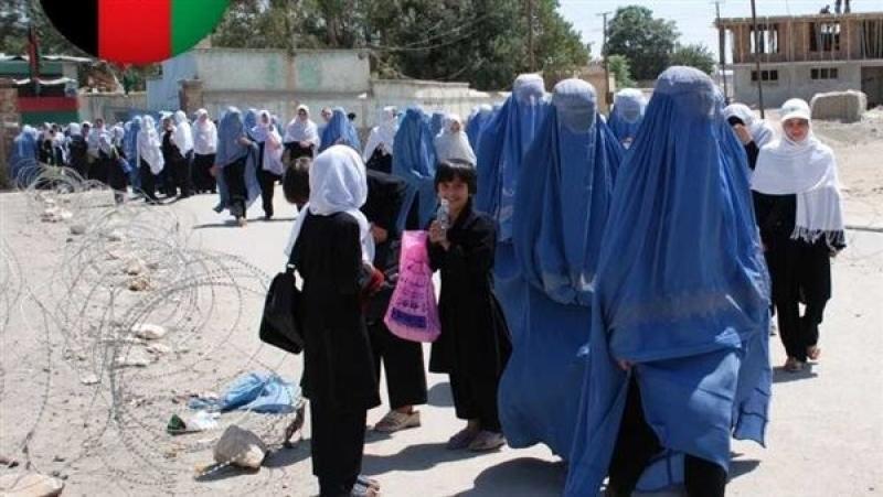 شيخ الأزهر: قرار تعليق التعليم الجامعي للفتيات في أفغانستان يتناقض مع الشريعة الإسلامية
