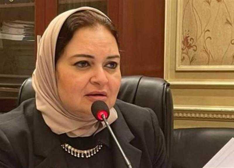برلمانية: فك وديعة صندوق التنمية الثقافية قضى فاعليته