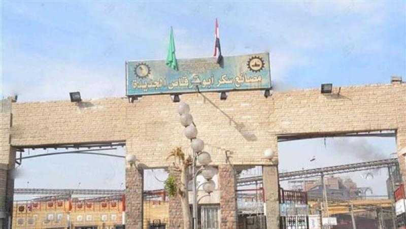 بدء موسم توريد محصول قصب السكر في المنيا 5 يناير المقبل