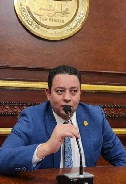 مصطفى النفيلي: افتتاح السيسي مجمع الصناعات الكيماوية خطوة هائلة لصالح الاقتصاد الوطني