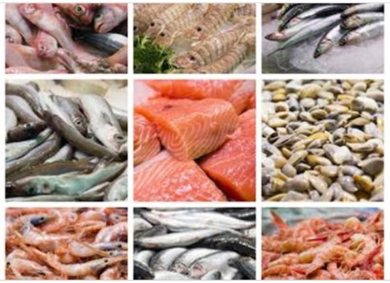 أسعار الأسماك اليوم الخميس