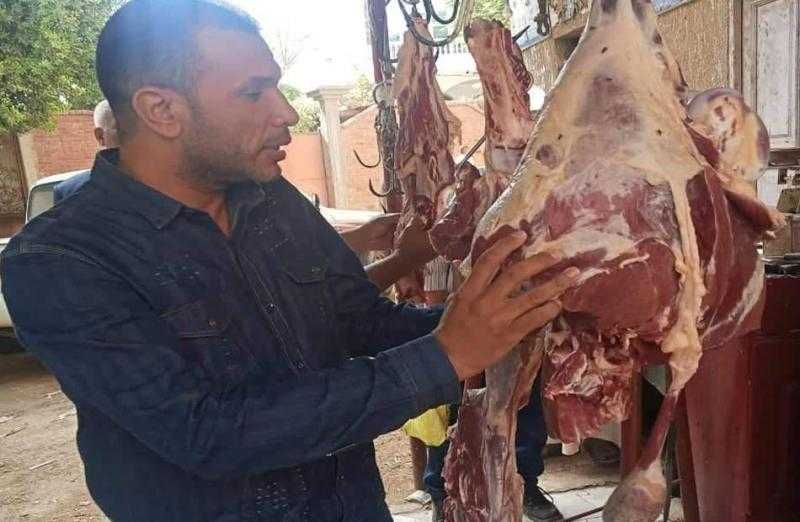 ضبط 200 كيلو لحوم غير صالحة للاستهلاك الآدمي في حملة بسوهاج