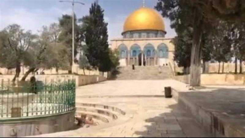 حقيقة اعتقال إمام المسجد الأقصى على يد قوات الاحتلال الصهيوني
