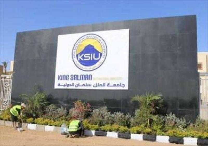 جامعة الملك سلمان الدولية تستقبل فريقا من تنيسي الأمريكية لبحث تعزيز التعاون