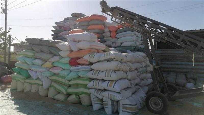 «الشرقية» تشدد على سرعة تسليم محصول الأرز الشعير إلى الشون ومواقع التخزين