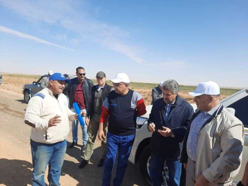 وزير قطاع الأعمال يتفقد أراضي ومزروعات شركة جنوب الوادي بتوشكى