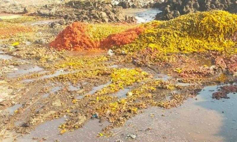 ضبط نحو 252 طن أعلاف حيوانية وفول صويا مجهولة المصدر بالجيزة