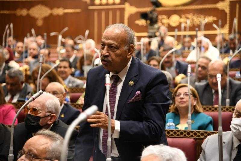 النائب هاني العسال: دعوة الرئيس ستسهم في تخفيف العبء عن كاهل المواطنين