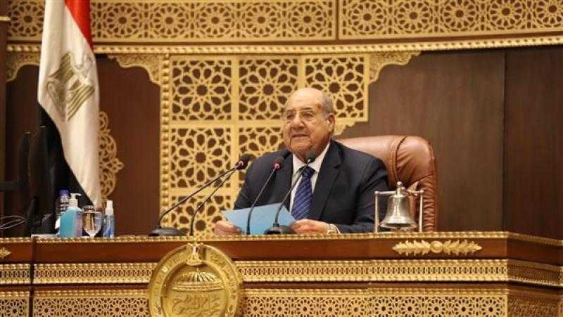 «رئيس مجلس الشيوخ»: الوطن يحتاج فى الوقت الحالى إلى توحيد الجهود لتحقيق التمكين الاقتصادى