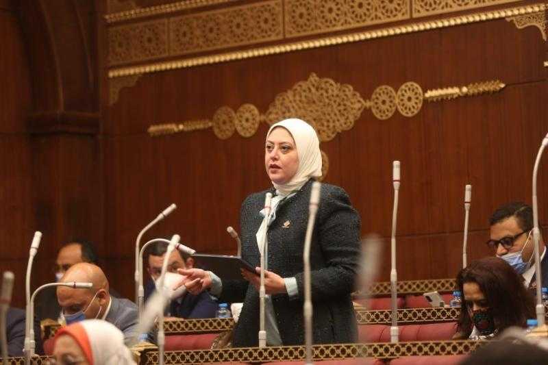 عضو ”الشيوخ” عن تنسيقية شباب الأحزاب: نشعر بنبض الشارع.. ونعبر عن كل الآراء
