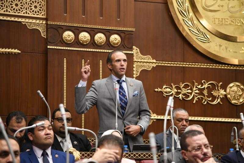 وكيل ”تضامن الشيوخ”: ”التنسيقية” تستهدف تحسين حياة المواطن المصري