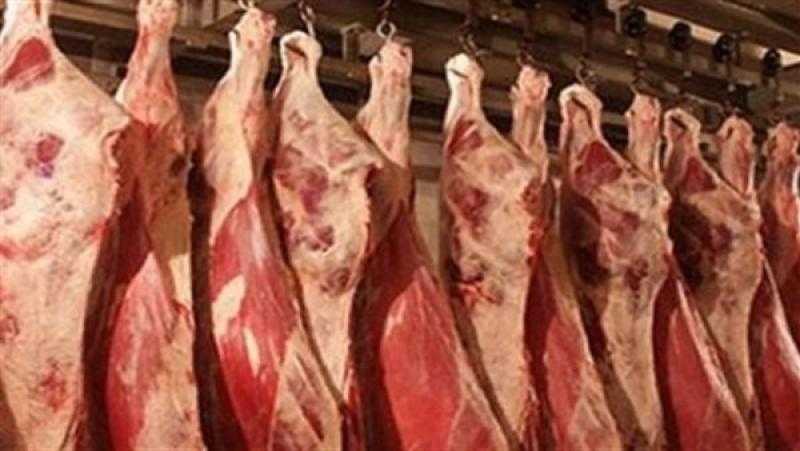 وزير التموين يوضح أسعار السلع الأساسية في المنافذ: اللحوم البلدي تبدأ من 135 جنيها