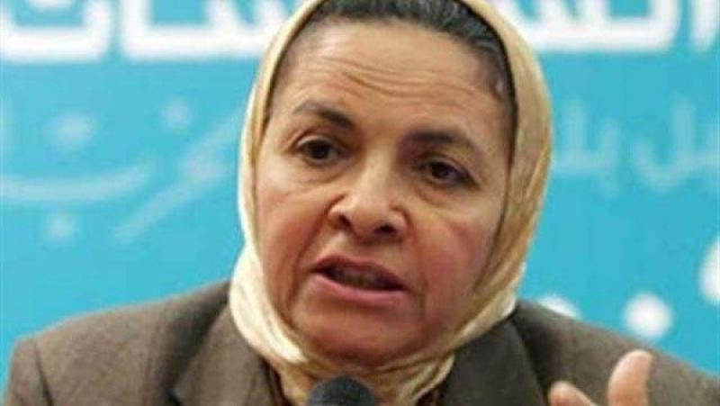 أستاذة اقتصاد: مصر تمتلك فرصا واعدة في الاستثمار والتصدير.. وقادرة على تخطي الأزمة الحالية.. فيديو