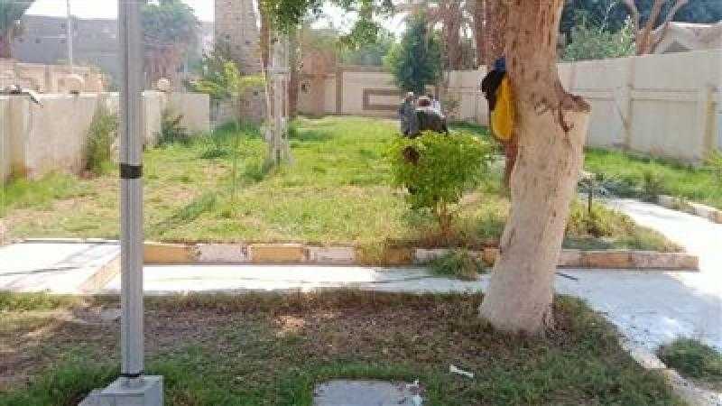 زراعة 80 نبتة في حدائق حي المنتزه ثان بالإسكندرية
