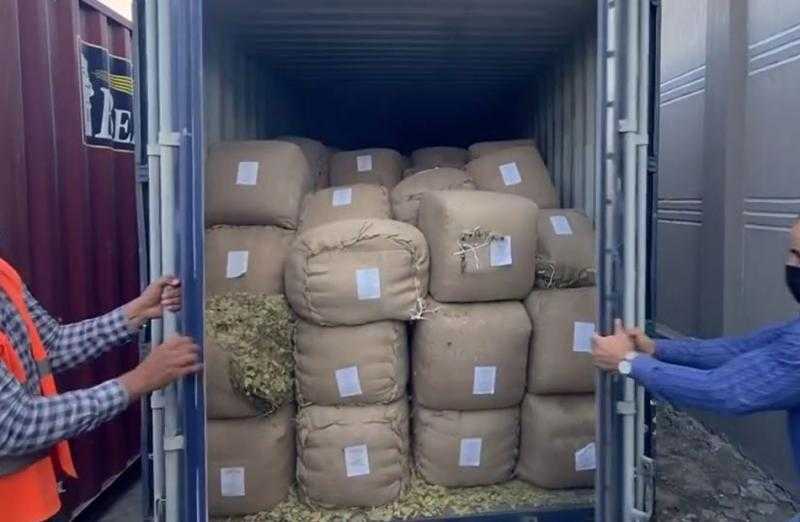 تشديدات أمنية تمنع 5 محاولات سفر بأوراق مزورة وتهريب مخدرات بالمنافذ الجمركية