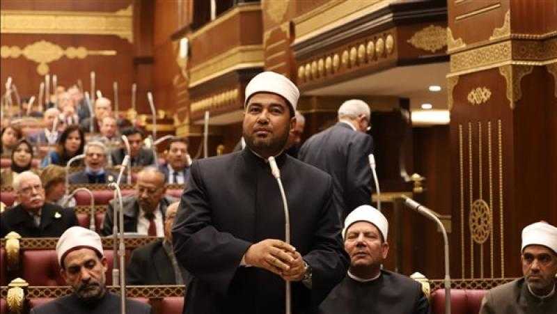 ممثل «الأزهر»: نحتاج لمزيد من التكاتف بين كافة المؤسسات لمواجهة العنف الأسري