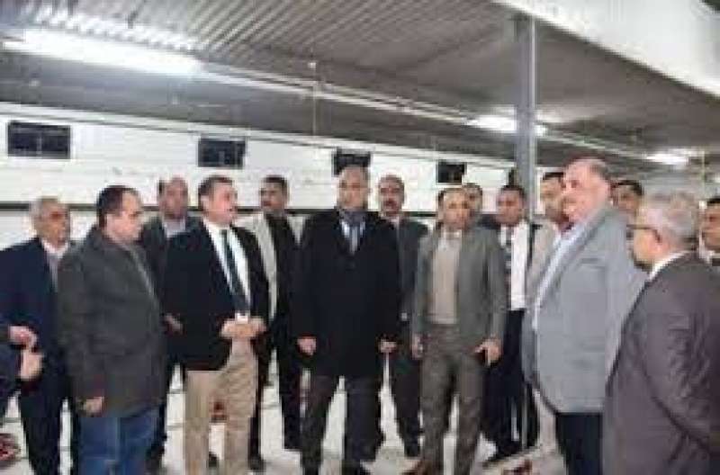 ارشيفية 
