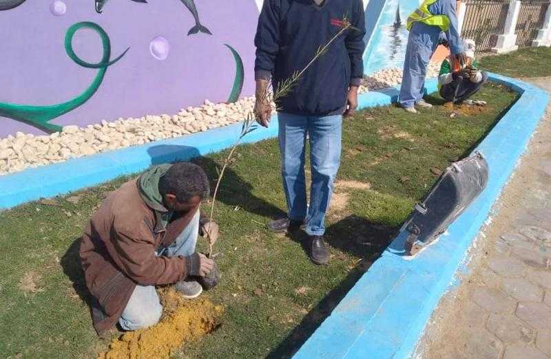 توزيع شتلات مثمرة على المواطنين والمصالح الحكومية والمدارس لزراعتها في رأس غارب | صور