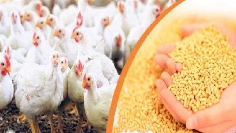 الإفراج عن قرابة 200 ألف طن أعلاف من الذرة والصويا خلال أسبوعين