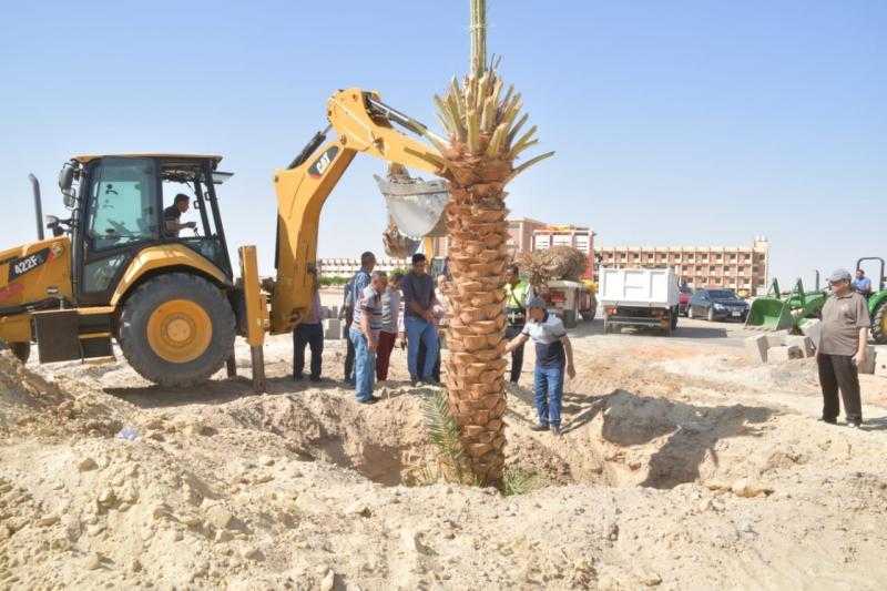 زراعة 110 أشجار مثمرة في مداخل قرى بالمحلة الكبرى