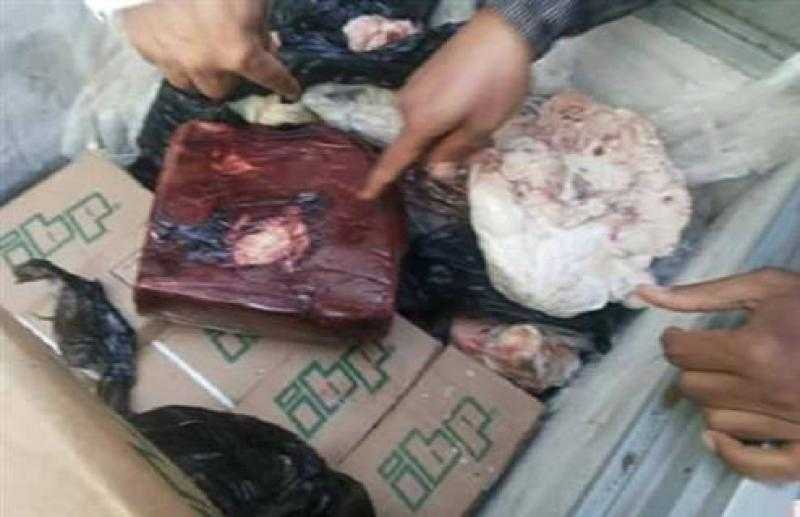 محافظ الجيزة يُشدد على تكثيف الحملات التموينية على الأسواق