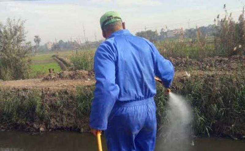 نشاط مكثف لمكافحة الذباب وناقلات الأمراض في الشرقية |صور