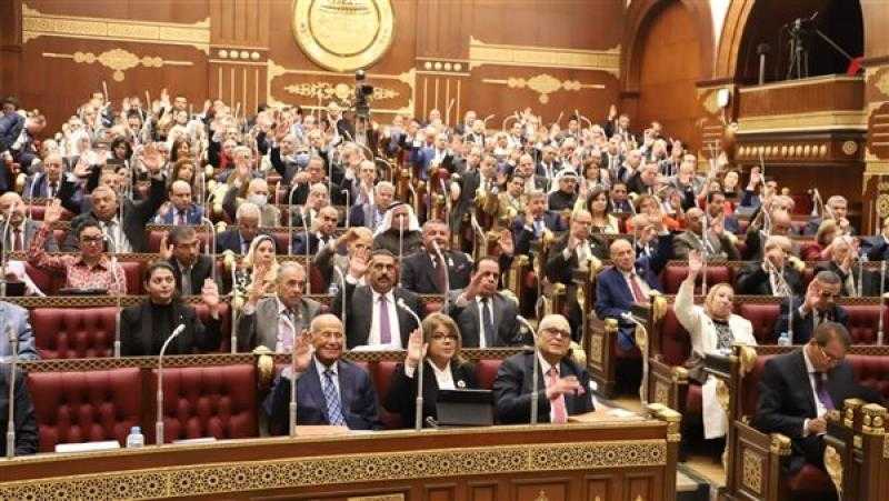 نائب التنسيقية يطالب بتحركات عاجلة تساعد على دمج النشاط الاقتصادي غير الرسمي