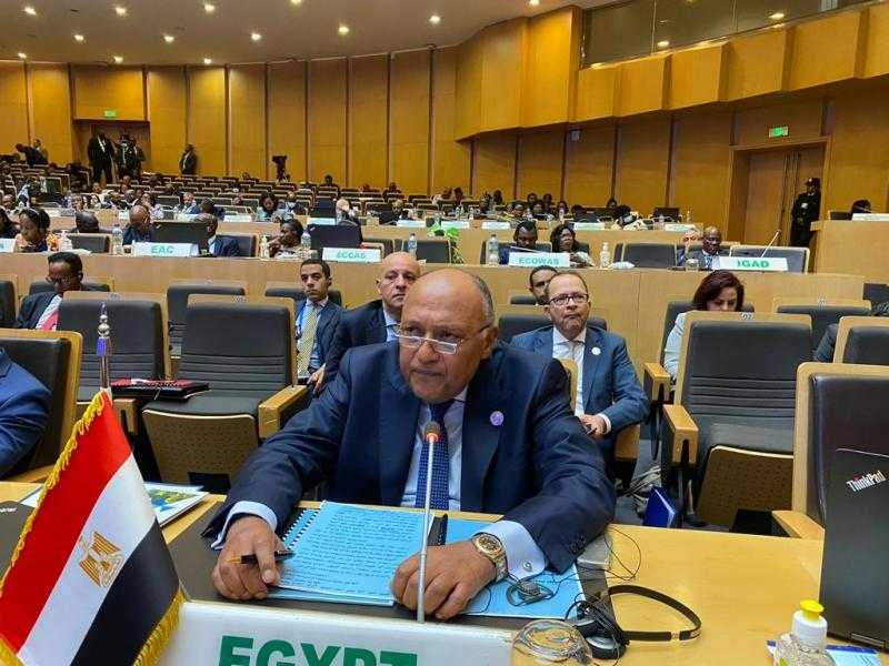 وزير الخارجية يؤكد أهمية تضافر الجهود لاحتواء مواضع الصراع في أفريقيا