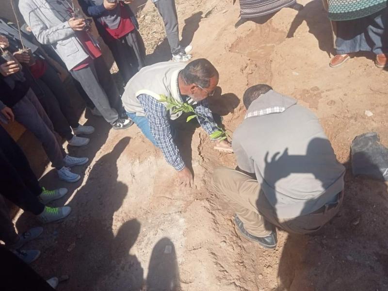 استمرار مبادرة 100 مليون شجرة بمدارس الغردقة | صور