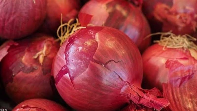 «نقيب الفلاحين» يكشف سر ارتفاع كيلو البصل إلى 14 جنيهًا