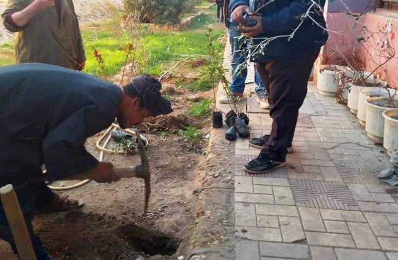 زراعة 150 شجرة بمدارس أخميم بسوهاج | صور