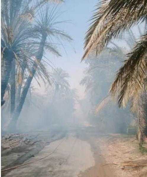 السيطرة على حريق مزرعة نخيل فى الواحات البحرية