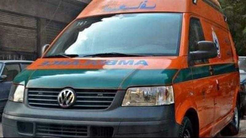 منعه من ضرب والدته.. مقتل محام على يد جاره بالفيوم
