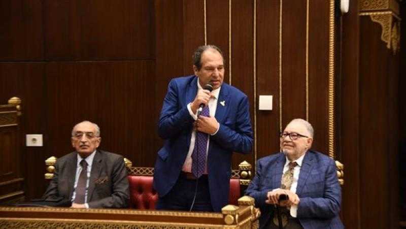 برلماني: الثقافة والفنون المصرية وما تنشره من فكر وسطي «أنقذتنا» من الأفكار المتشددة