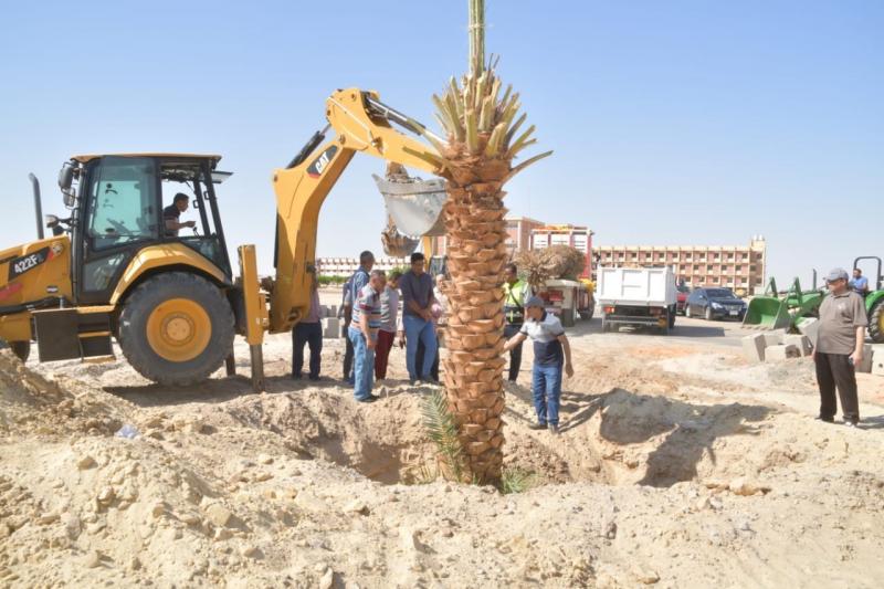 زراعة 55 شجرة مثمرة في بسيون بالغربية