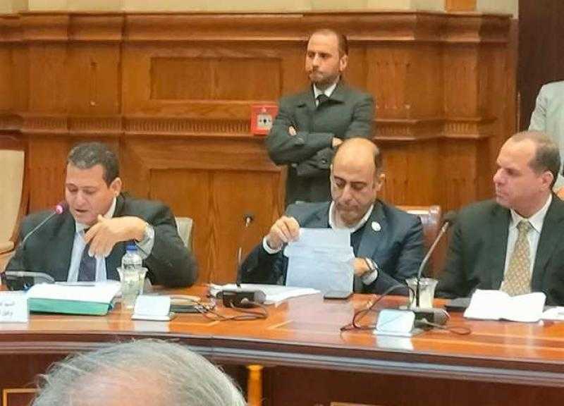 نائب الإسكندرية: «محلية النواب» ناقشت مشكلة «تدمير الطرق بقرى أبيس» بعد توصيل الغاز