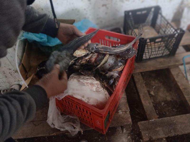 المضبوطات