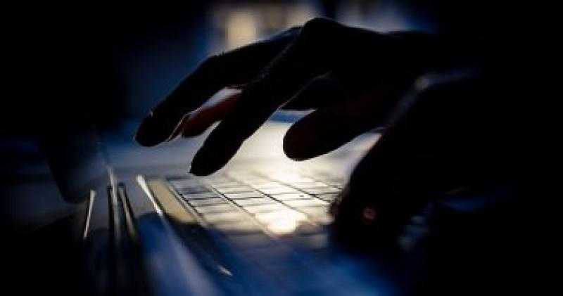الحكومة النمساوية: تعديل القانون لتشديد العقوبات على الجرائم الإلكترونية