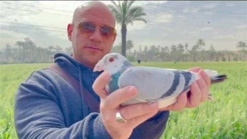 أحمد مكي يحتفل بفوزه في سباق عالمي للحمام الزاجل