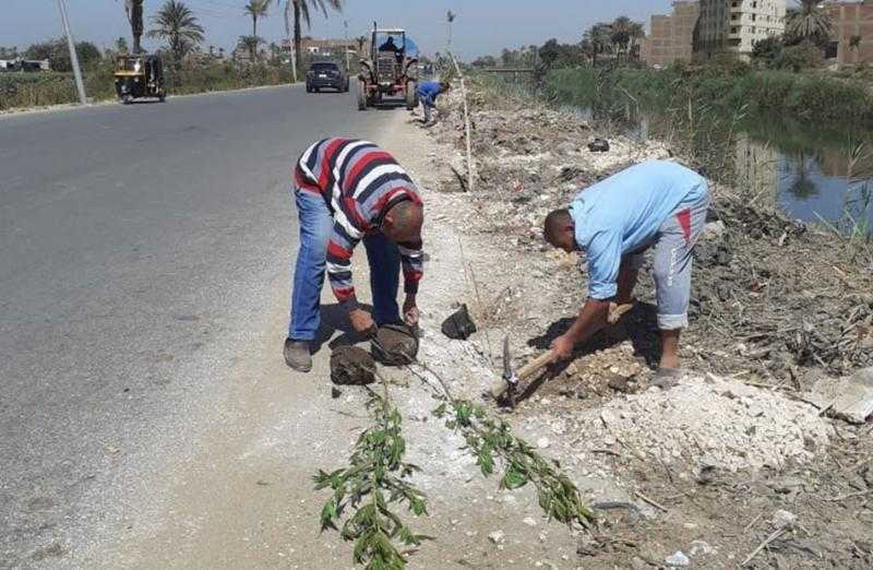 زراعة 120 شجرة مثمرة في مركز طهطا بسوهاج| صور